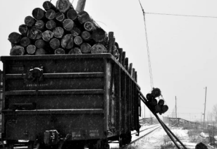 再見了電動(dòng)絞盤！你是林業(yè)工人的好伙伴